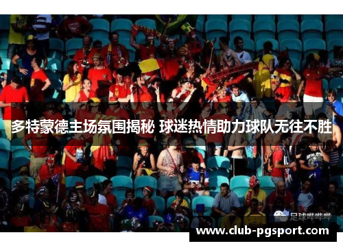 多特蒙德主场氛围揭秘 球迷热情助力球队无往不胜