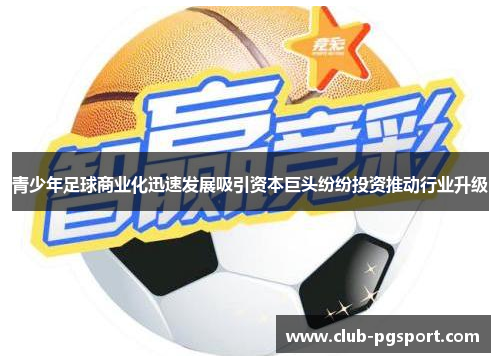 青少年足球商业化迅速发展吸引资本巨头纷纷投资推动行业升级 青少年足球商业化迅速发展吸引资本巨头纷纷投资推动行业升级