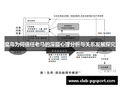 魔鸟为何信任老马的深层心理分析与关系发展探究 魔鸟为何信任老马的深层心理分析与关系发展探究