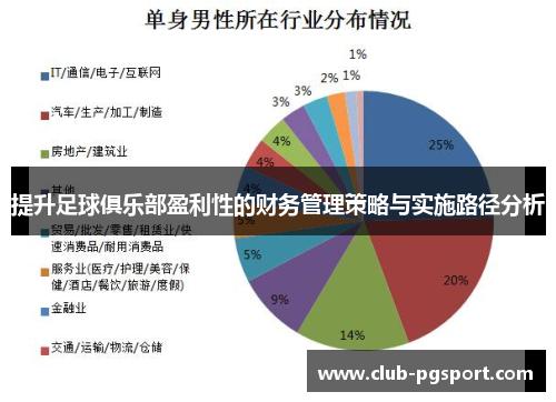 提升足球俱乐部盈利性的财务管理策略与实施路径分析
